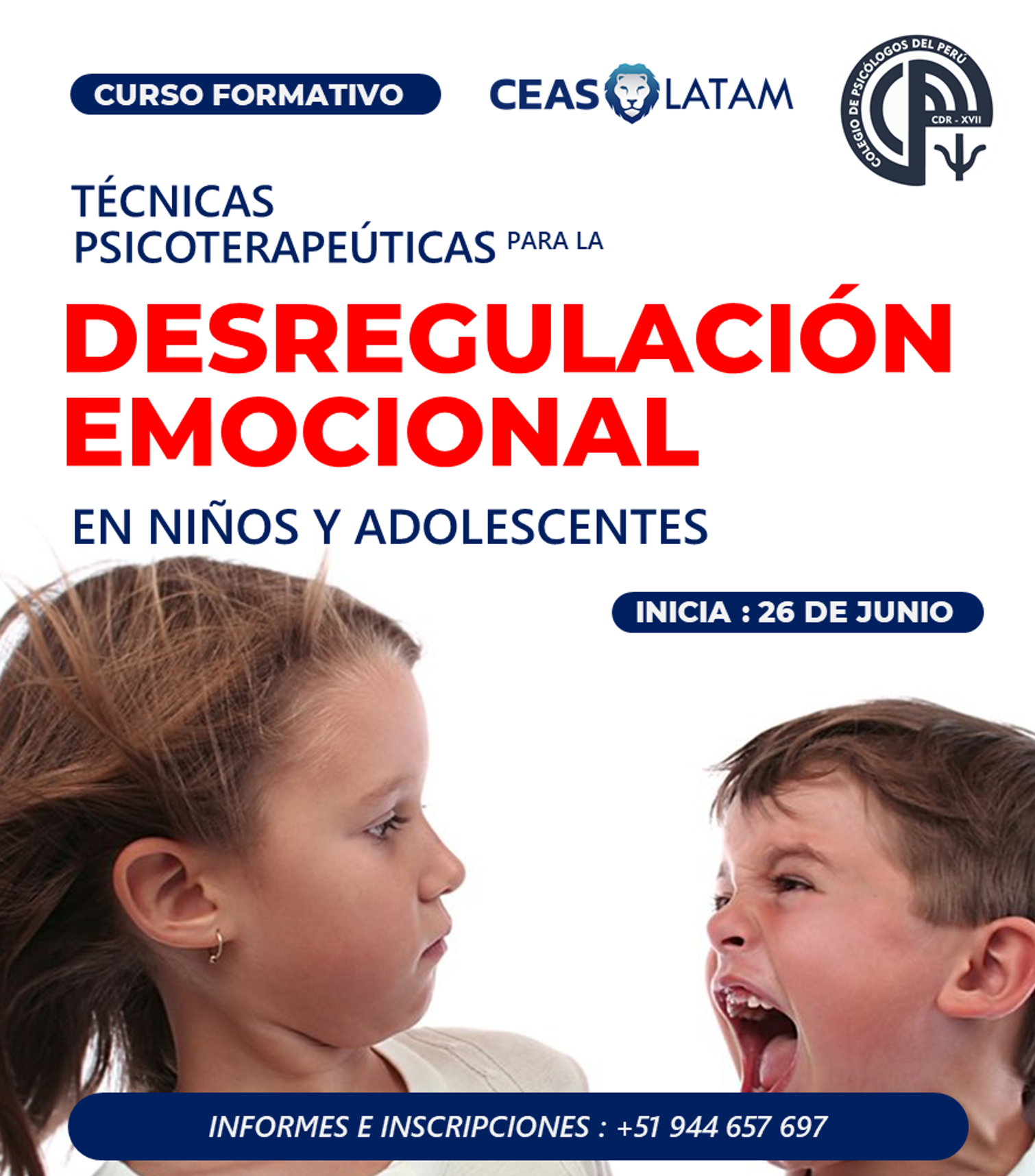 Course Image TÉCNICAS PSICOTERAPÉUTICAS PARA LA DESREGULACIÓN EMOCIONAL EN NNA - BLACK