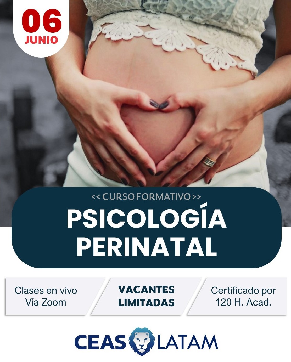 Course Image PSICOLOGÍA PERINATAL - PG