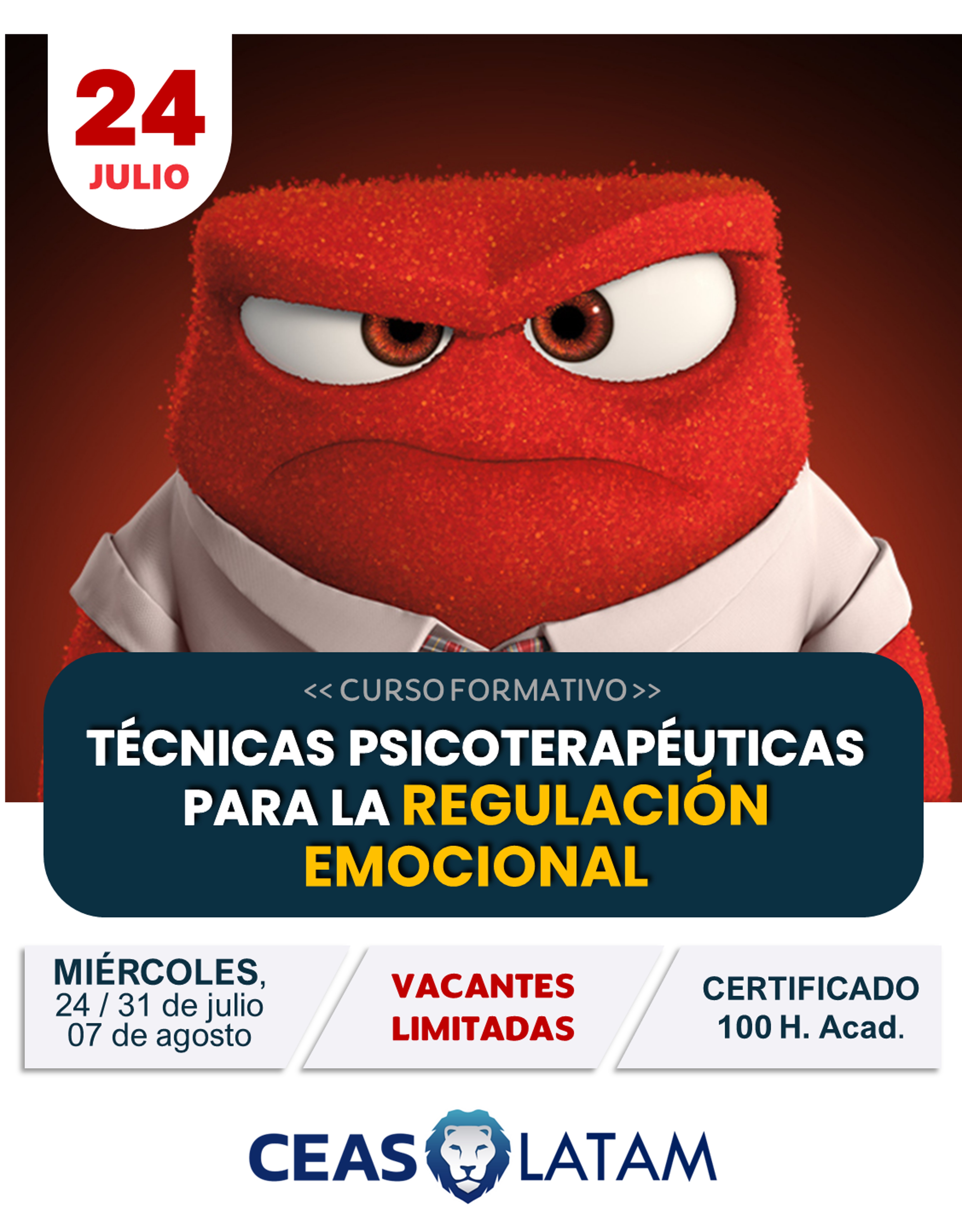 Course Image BECADOS - REGULACIÓN EMOCIONAL 